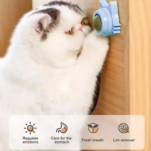 Cat-Shaped Rotating Catnip Wall Toy