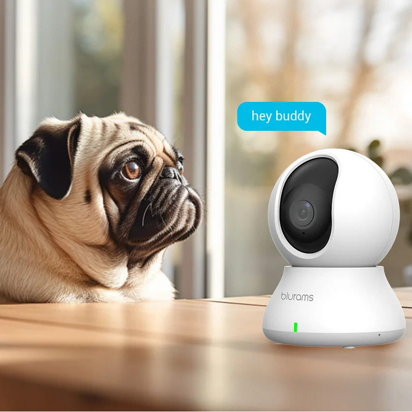 2K WiFi Pet Camera – 360° PTZ