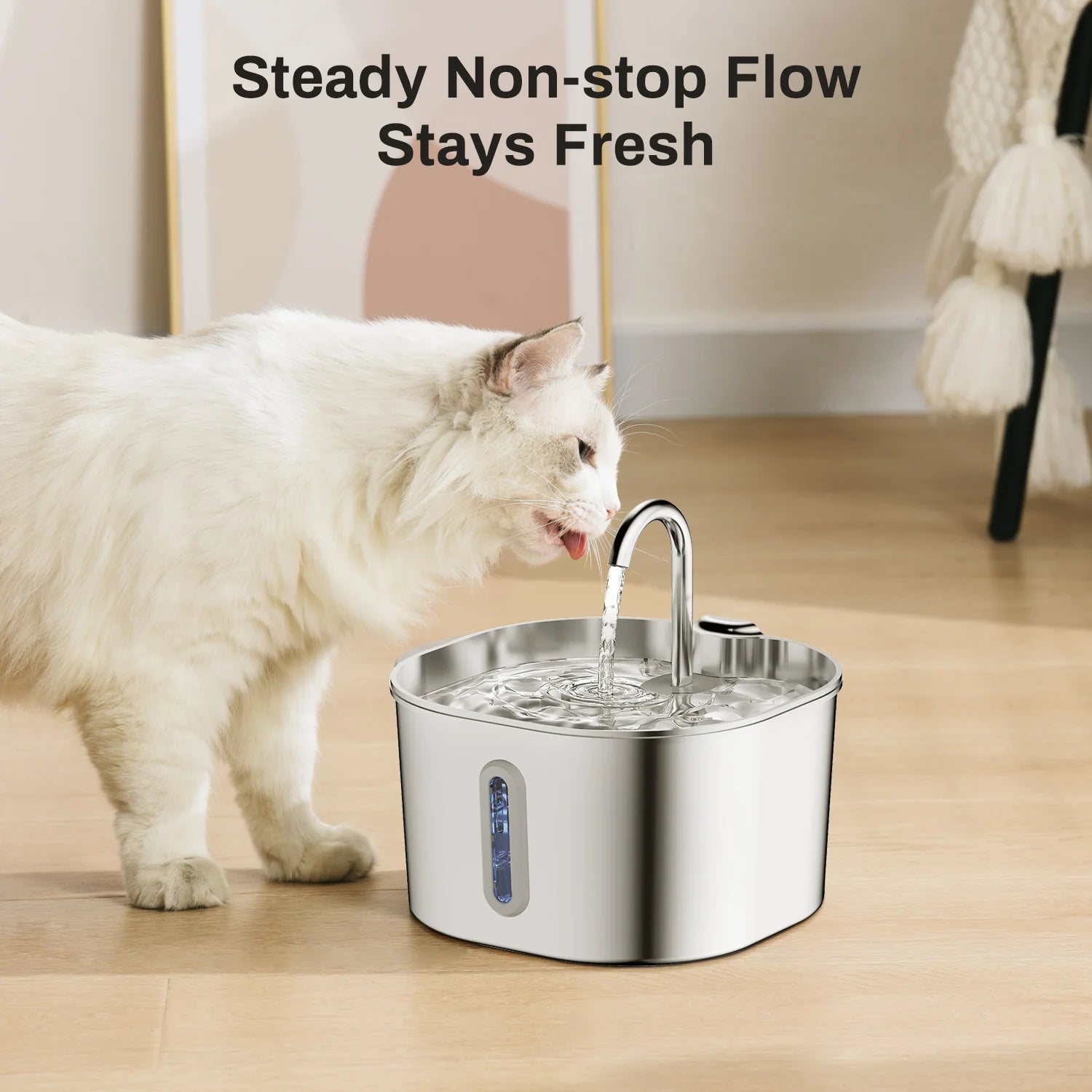 ZYfeeder Cat Water Fountain
